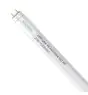 Noxion LED Lysrør T8 Avant Extreme (HF) High Output 20W 3100lm - 865 dagslys | 150cm - erstatter 58W