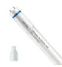 Philips LED Lysrør T8 MASTER (EM/Mains) High Output 8W 1050lm - 840 kold hvid | 60cm - erstatter 18W