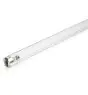 Philips T8 UV - C 55W - ultraviolet | 90cm
